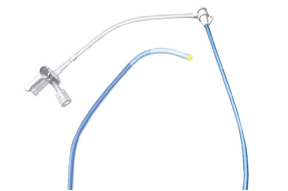 VISTA-BRITE-TIP™-IG-Catheter-1.jpg